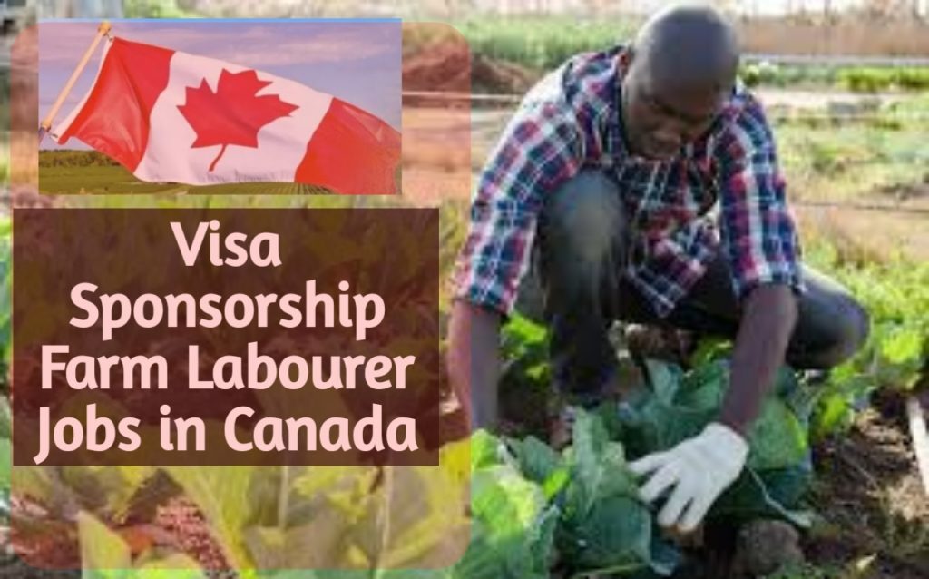 Visa Sponsorship Farm Hand/Labourer Jobs in Canada